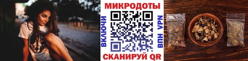 kraken ССЫЛКА  маркетплейс официальный сайт  Галлюциногенные грибы MAGIC MUSHROOMS  Светогорск 